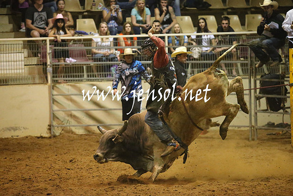 RealDealRodeoNov2013_1404