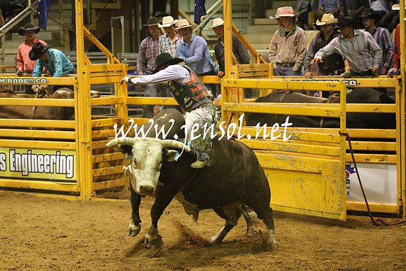 RealDealRodeoNov2013_1041