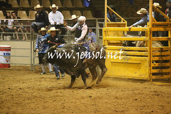 RealDealRodeoNov2013_1387