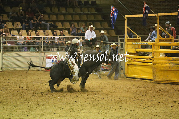 RealDealRodeoNov2013_1374