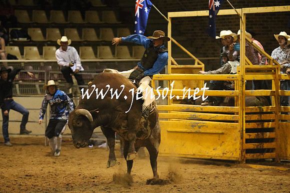 RealDealRodeoNov2013_1101