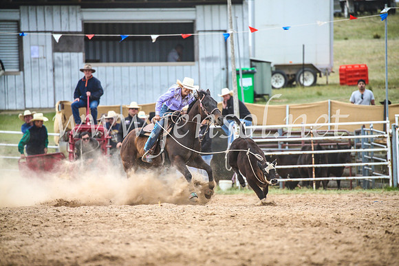 BungendoreRodeo2017_5726