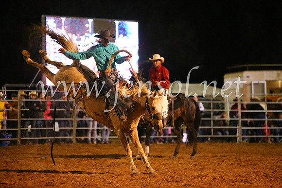 TumutRodeo2017_3878
