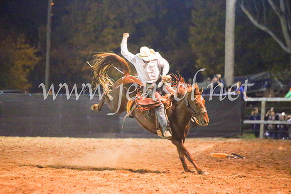TumutRodeo2017_3842