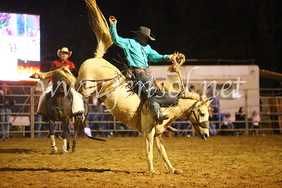 TumutRodeo2017_3874
