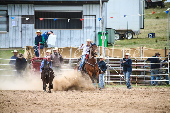 BungendoreRodeo2017_6518