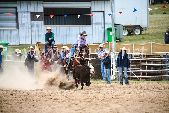 BungendoreRodeo2017_6553