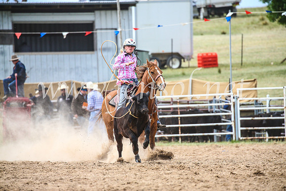 BungendoreRodeo2017_5664