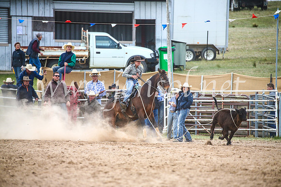 BungendoreRodeo2017_6622