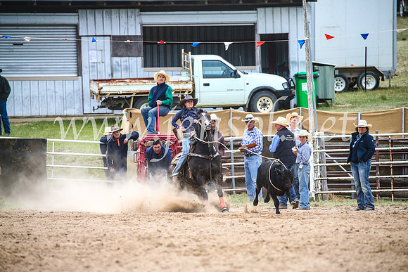 BungendoreRodeo2017_6631