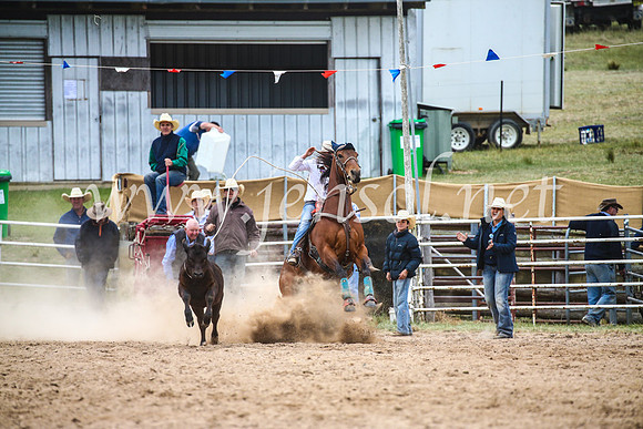 BungendoreRodeo2017_6521