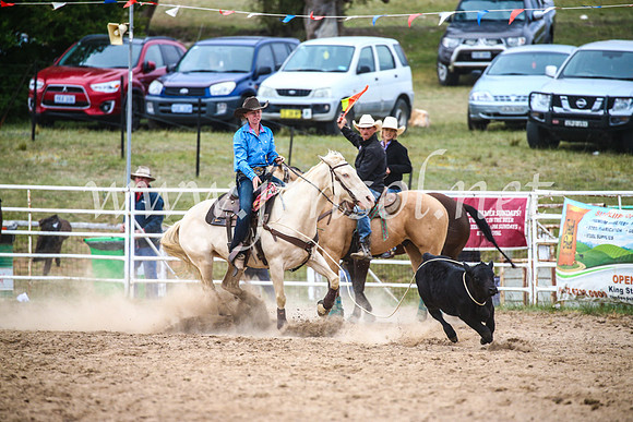 BungendoreRodeo2017_6605