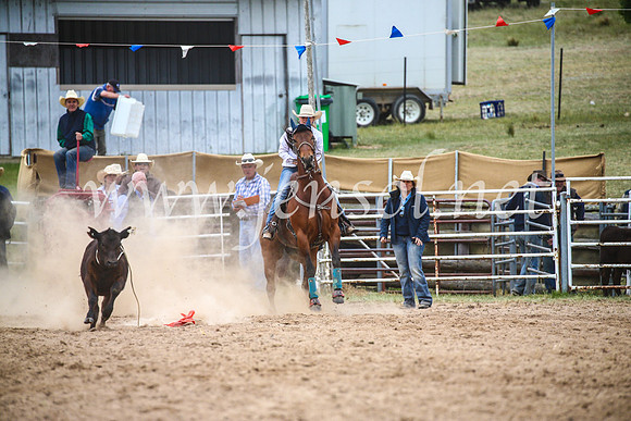 BungendoreRodeo2017_6538