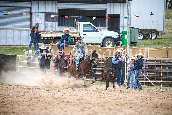 BungendoreRodeo2017_6614