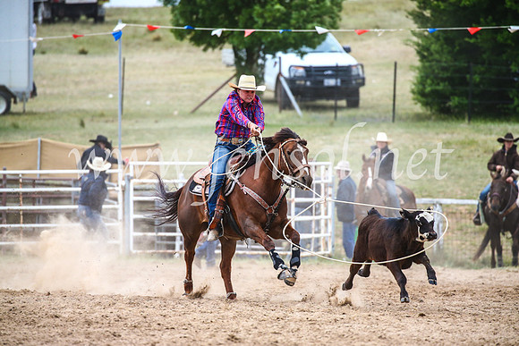 BungendoreRodeo2017_6666