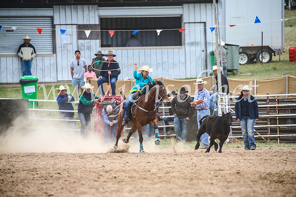BungendoreRodeo2017_5807