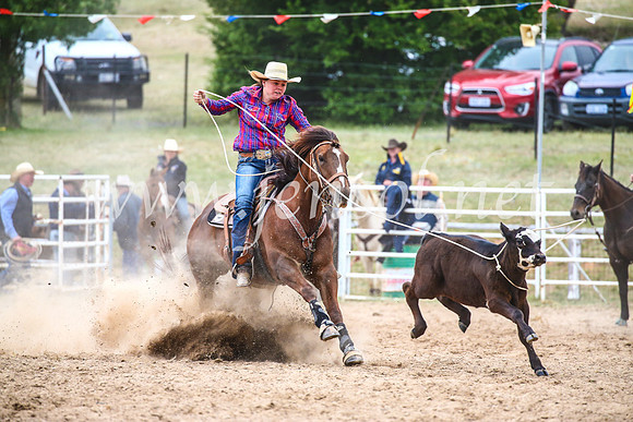 BungendoreRodeo2017_6654