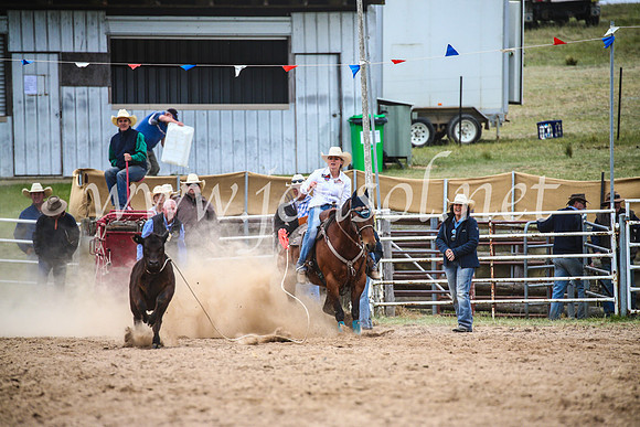 BungendoreRodeo2017_6536