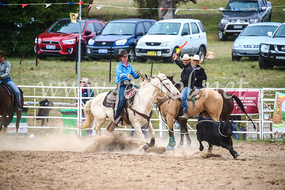 BungendoreRodeo2017_6599