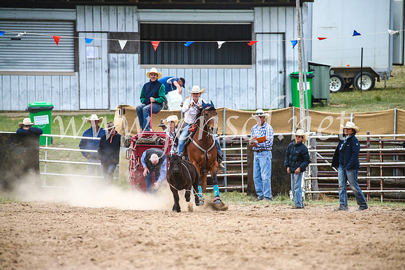 BungendoreRodeo2017_6522
