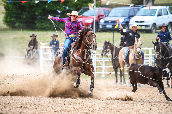 BungendoreRodeo2017_6657