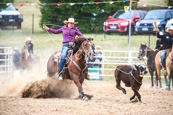 BungendoreRodeo2017_6656