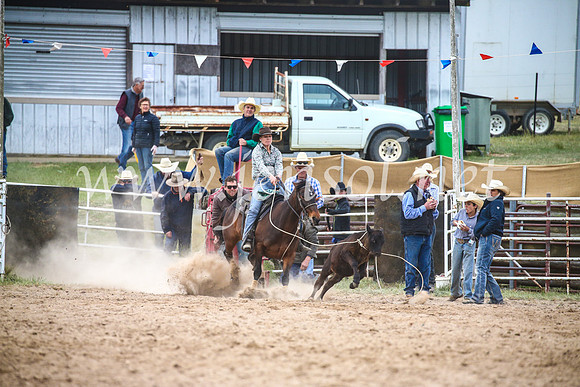 BungendoreRodeo2017_6615
