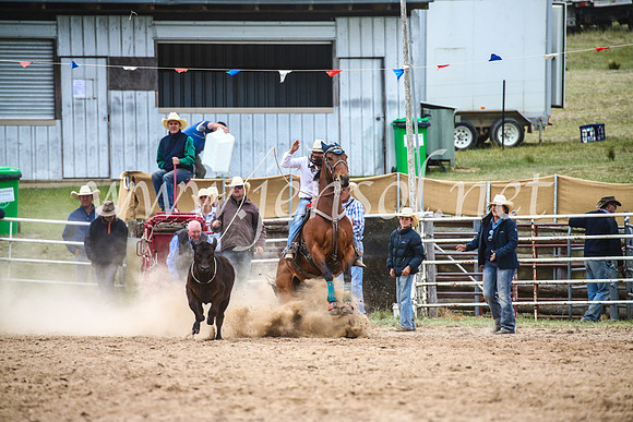 BungendoreRodeo2017_6517
