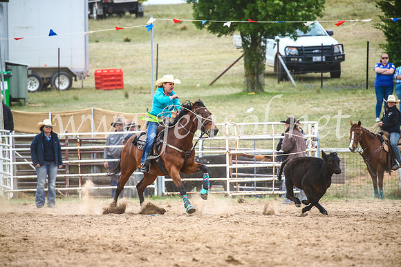 BungendoreRodeo2017_5816