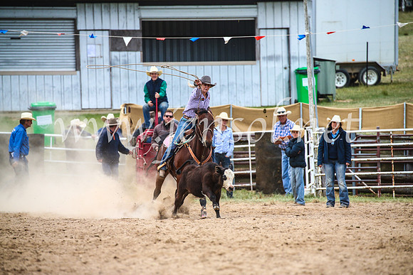 BungendoreRodeo2017_6544