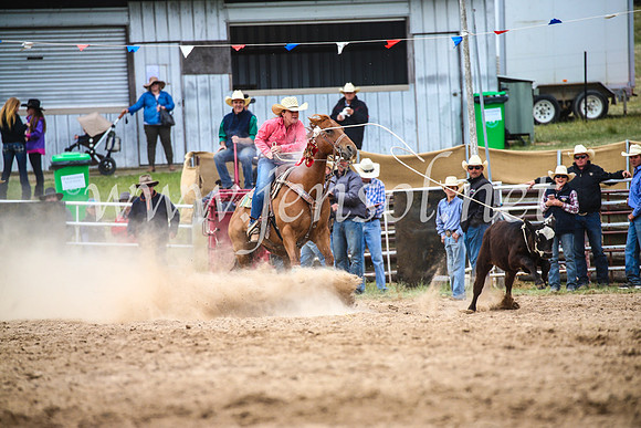 BungendoreRodeo2017_5390