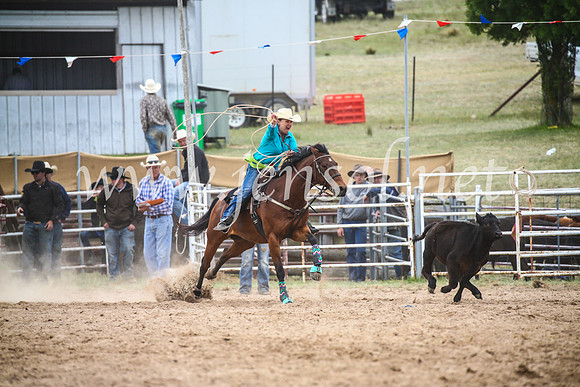 BungendoreRodeo2017_5803