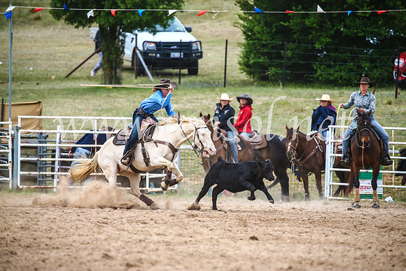 BungendoreRodeo2017_6598
