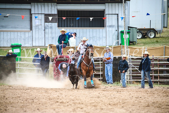 BungendoreRodeo2017_6523