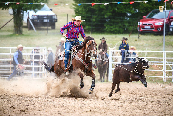 BungendoreRodeo2017_6653