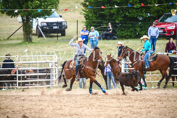 BungendoreRodeo2017_5788