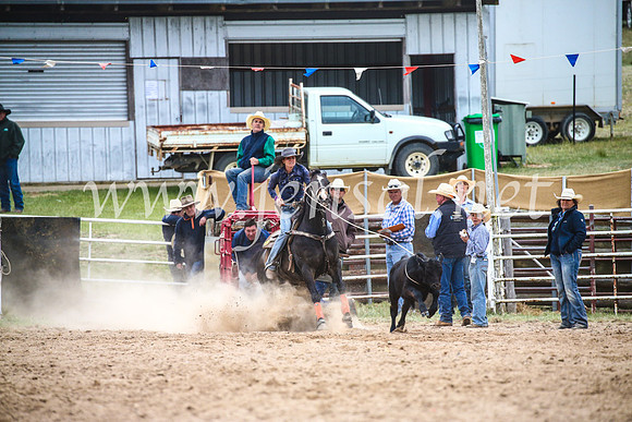 BungendoreRodeo2017_6642