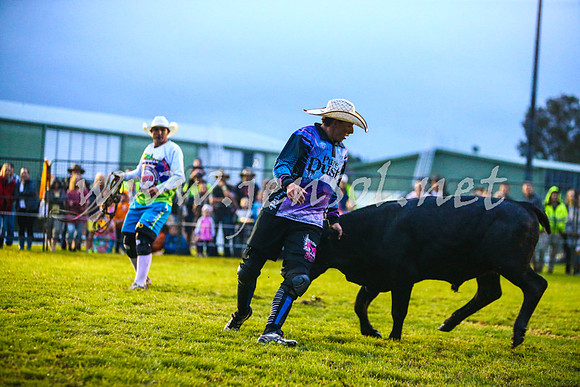 MiltonRodeo2017-0031