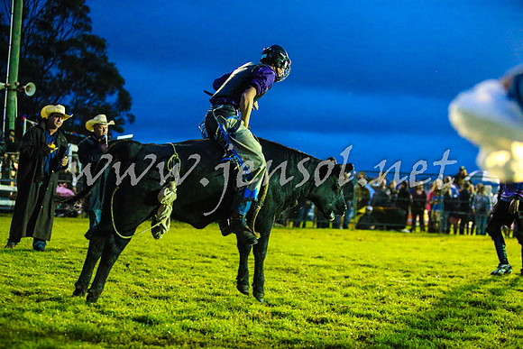 MiltonRodeo2017-0111