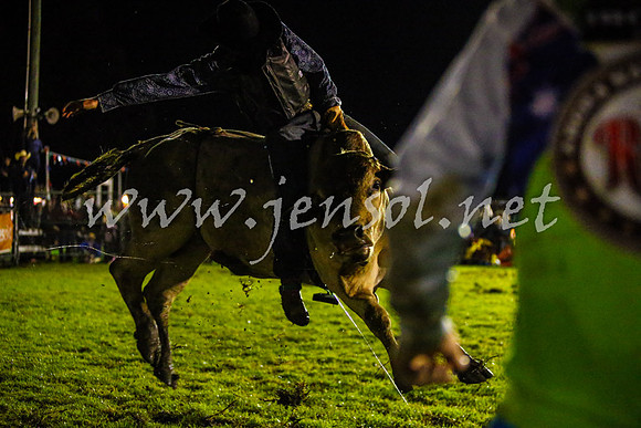 MiltonRodeo2017-0445