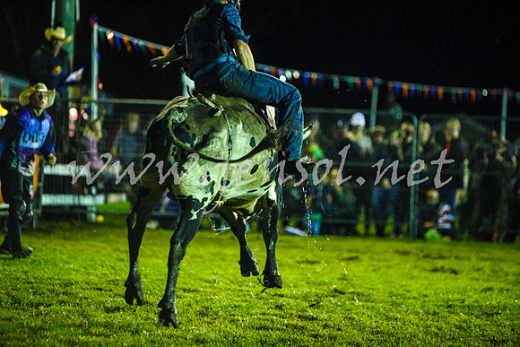 MiltonRodeo2017-0663