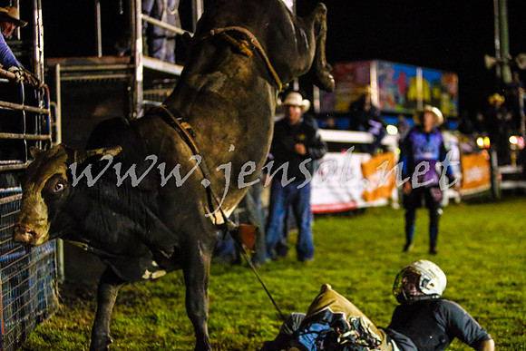 MiltonRodeo2017-0182