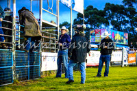 MiltonRodeo2017-0073