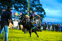 MiltonRodeo2017-0077