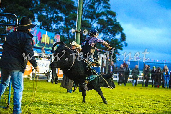 MiltonRodeo2017-0077