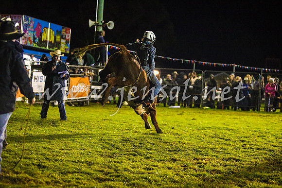 MiltonRodeo2017-0360