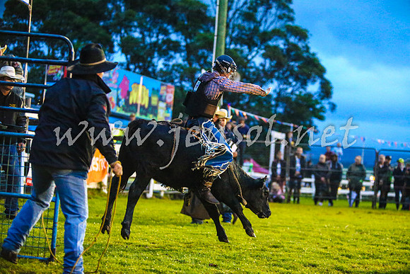 MiltonRodeo2017-0078