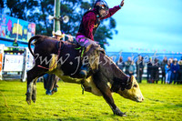 MiltonRodeo2017-0041