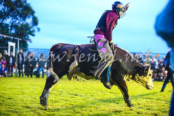 MiltonRodeo2017-0039