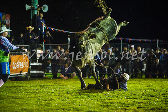 MiltonRodeo2017-0195